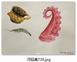 6dc15c5499f89a967ffc37129b73c80.png