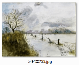 4978a48810cb8d6494999986c746901.png