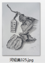 6ae157d234f3a45c3445b5ec16cd495.png
