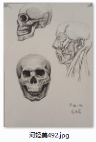 1d017f2243fa868086722b9cec95d2c.png