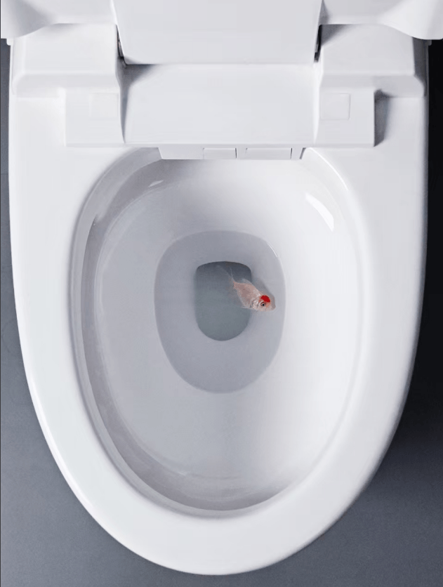 d3792cdfa21a45cd036f844e692df40.png