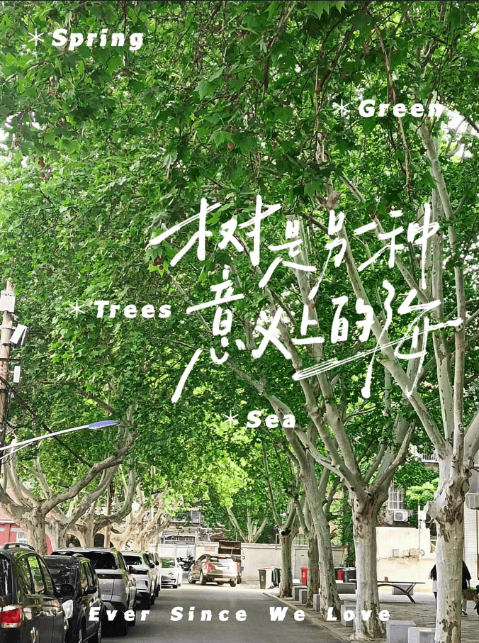 微信图片_20240929161738.png