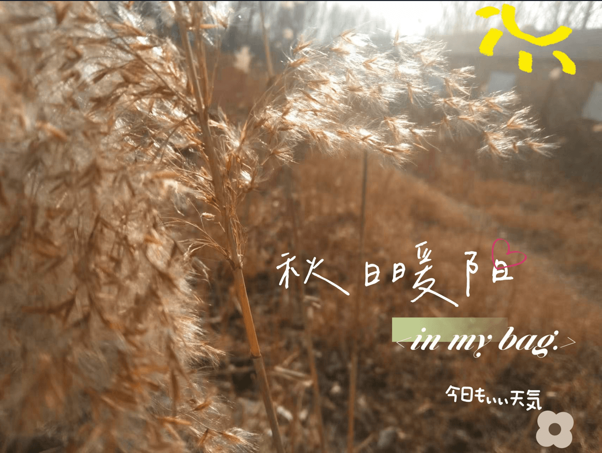 微信图片_20240929162055.png