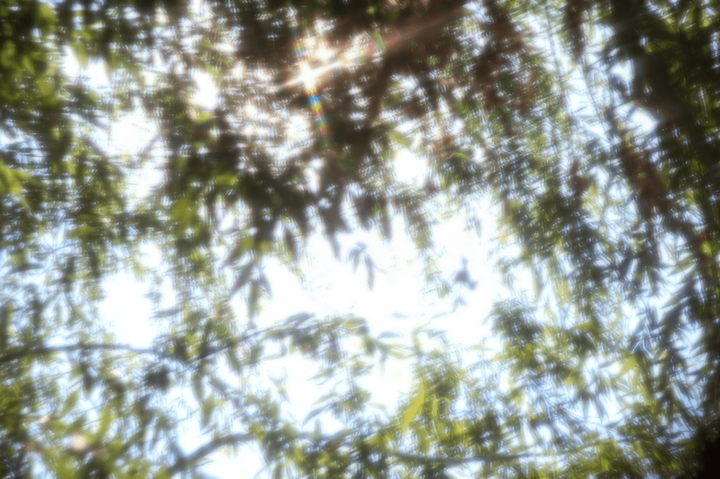 微信图片_20240929182258.png