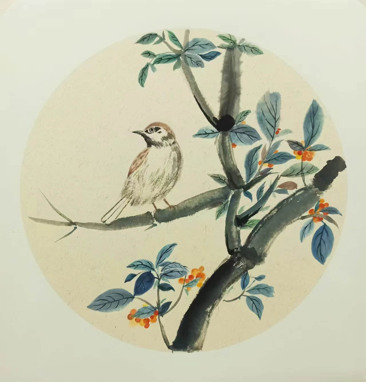 河轻美719.jpg